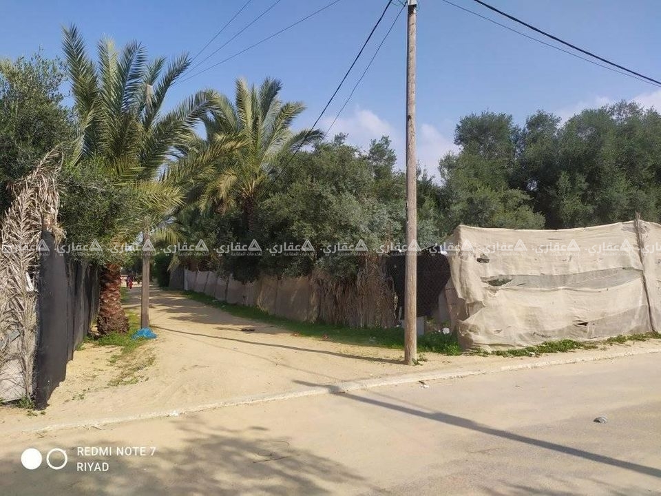 قطعة ارض مشجرة زيتون وليمون