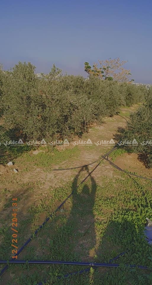 قطعة أرض بعد نقطة شرطة ميراج