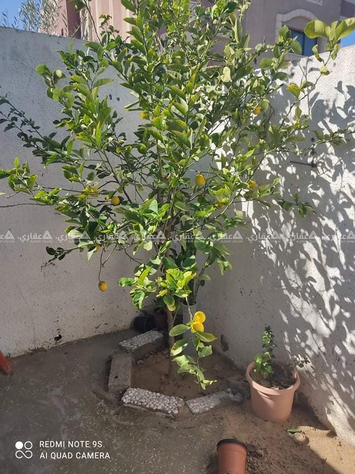 منزل للبيع بالقرب من مدرسة الأقصى