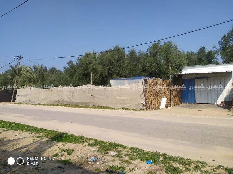 قطعة ارض مشجرة زيتون وليمون