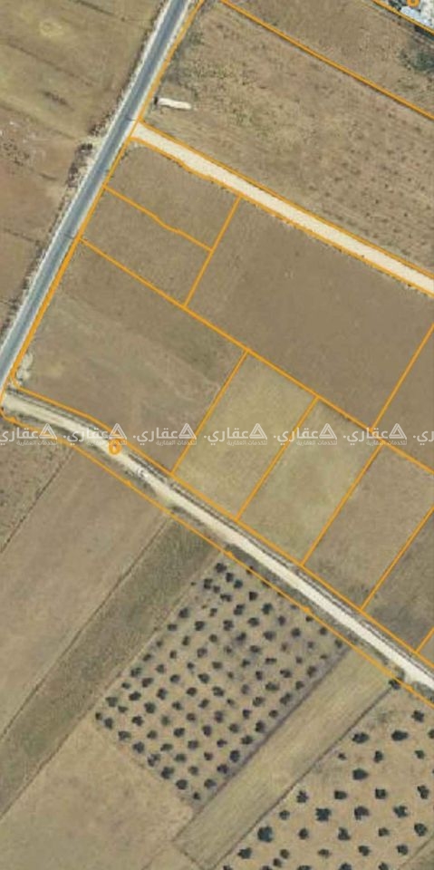  ارض مستوية تصلح للبناء والزراعة