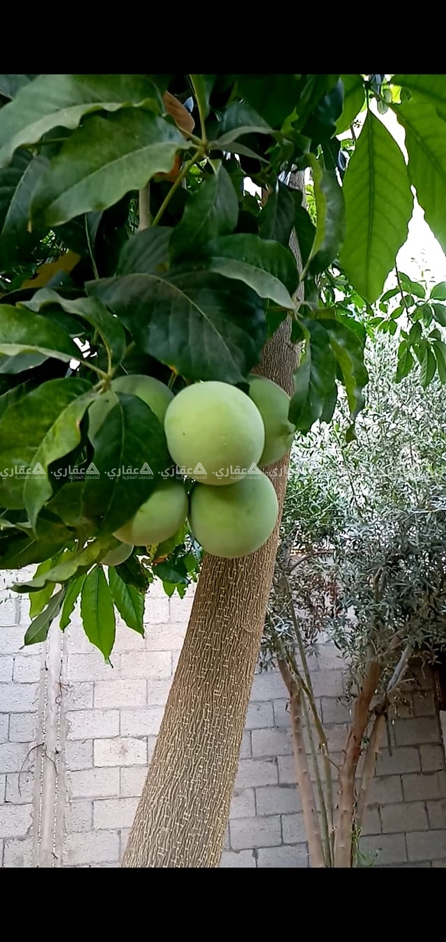 قطعة أرض للبيع أو البدل