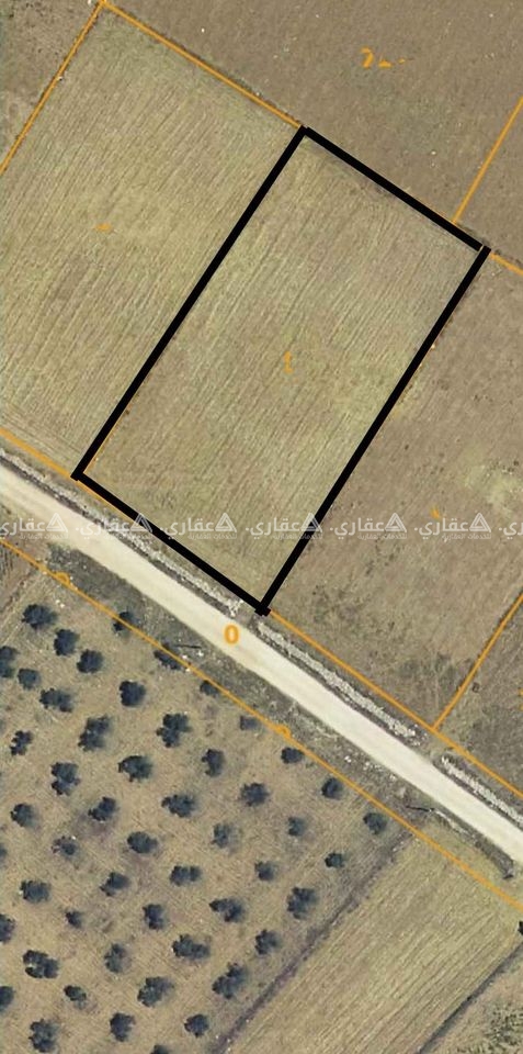  ارض مستوية تصلح للبناء والزراعة