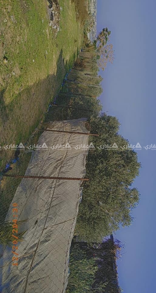 قطعة أرض بعد نقطة شرطة ميراج