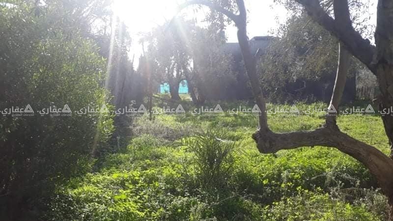 منزل في حي الزعفران