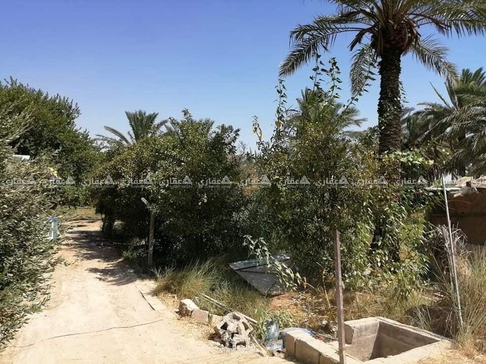 قطعة ارض للبيع 