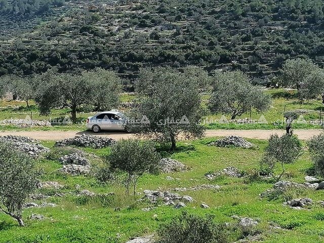 أرض بين قرية دير غسانة وبيت ريما