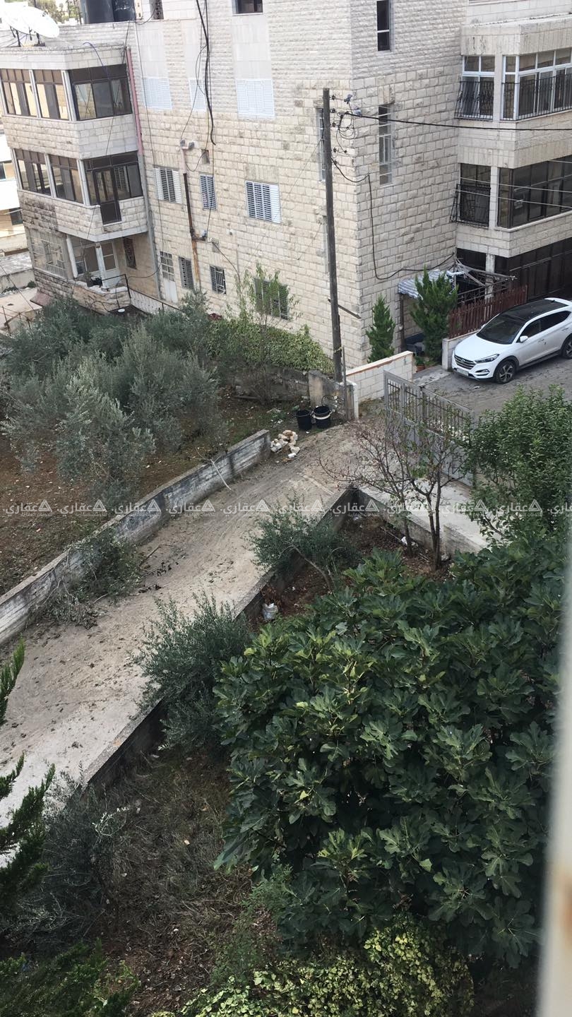 شقة فارغة للايجار في عمارة مستقلة