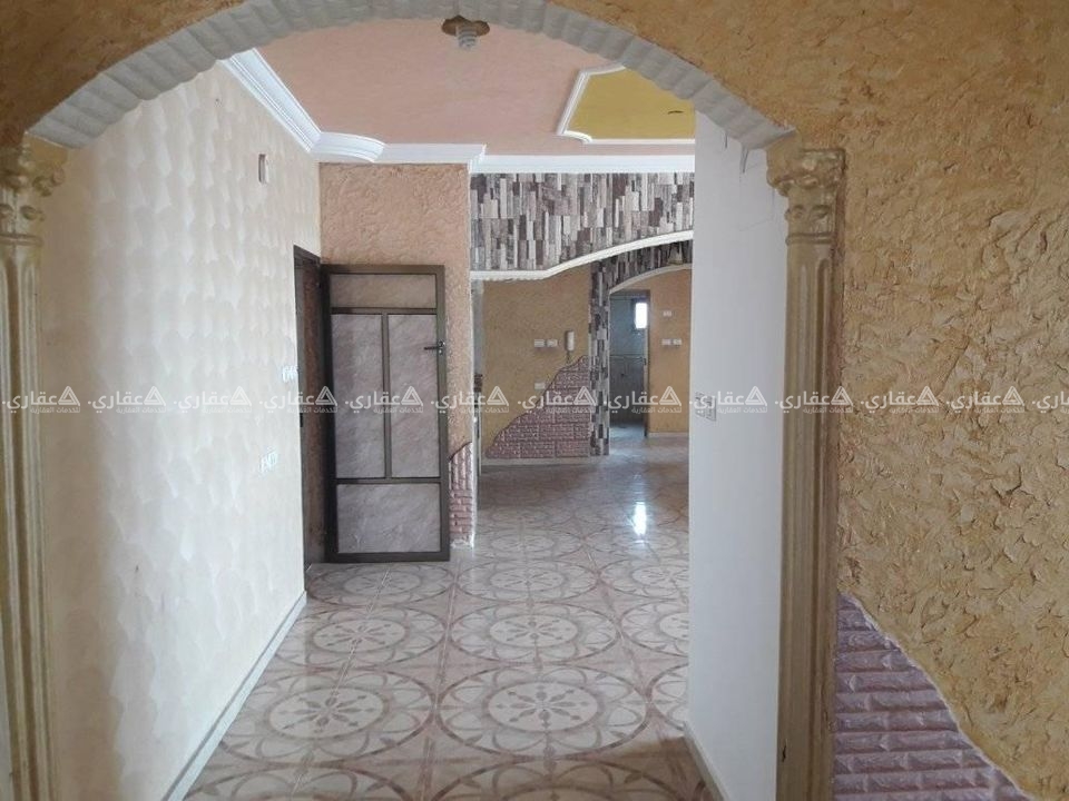 روف في شارع النفق 