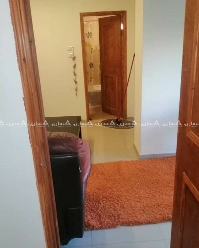 استديو مفروش للايجار 