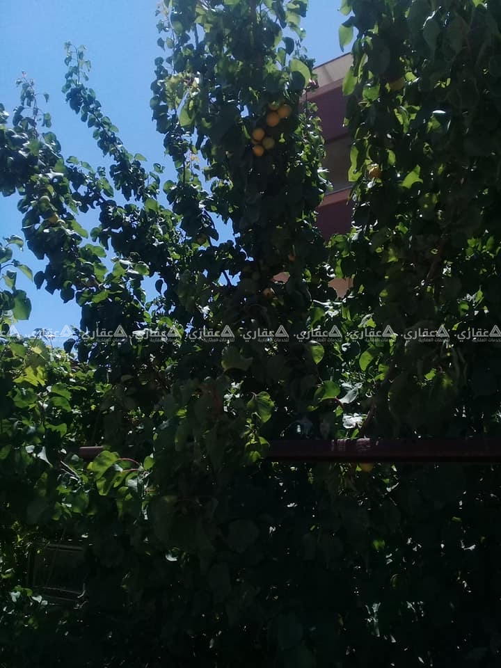 قطعة أرض بمساحتين مختلفتين