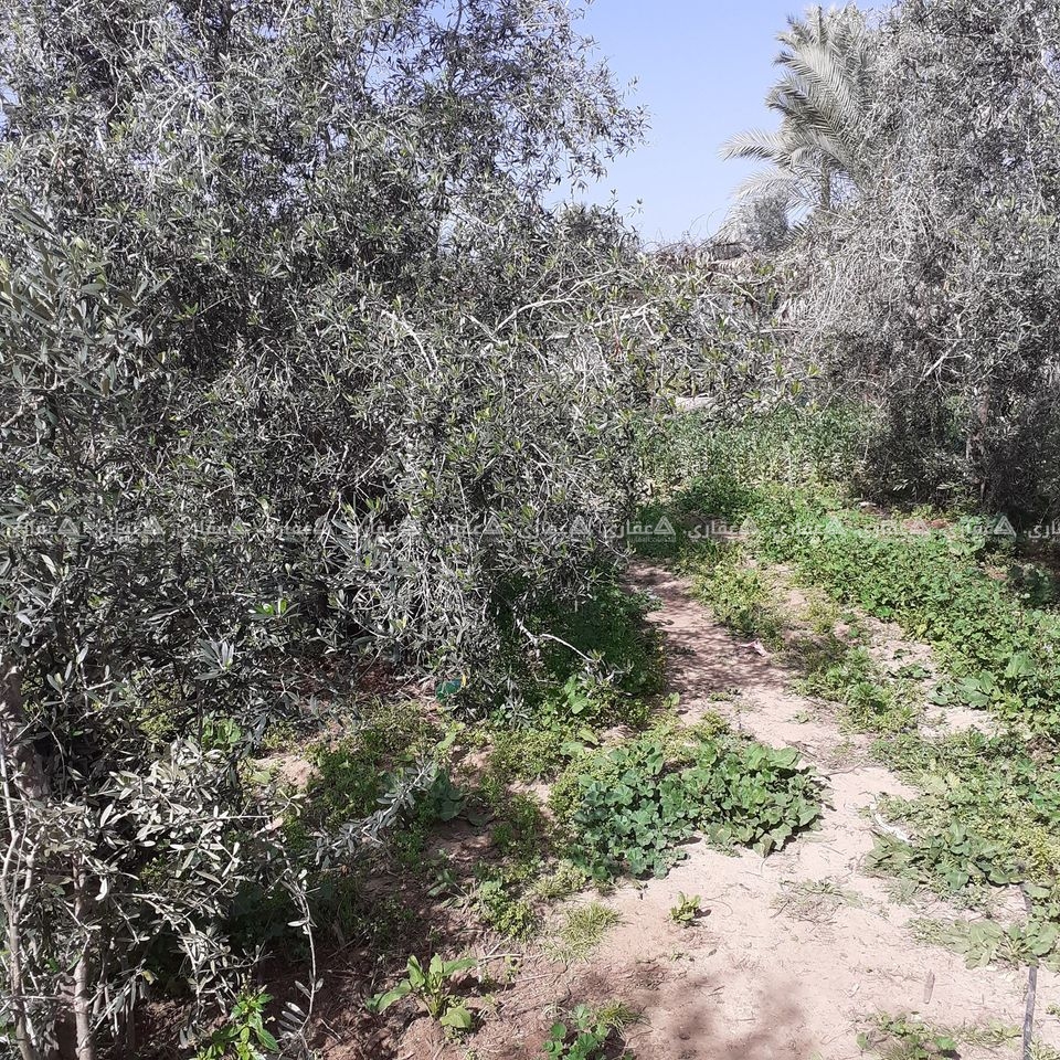 منزل رائع للبيع