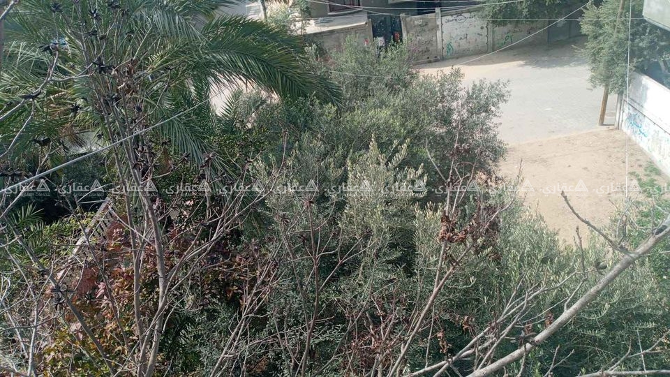 أرض مطوبة ومسورة ومطورة من البلدية