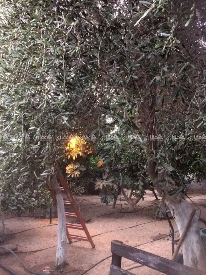 أرض للبيع قرب صالة مونتانا