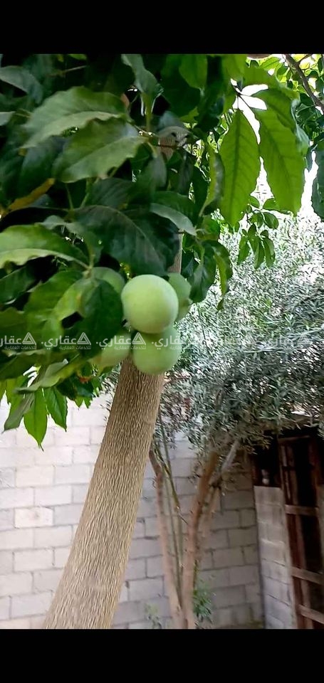أرض للبيع أو البدل على بيت في غزة