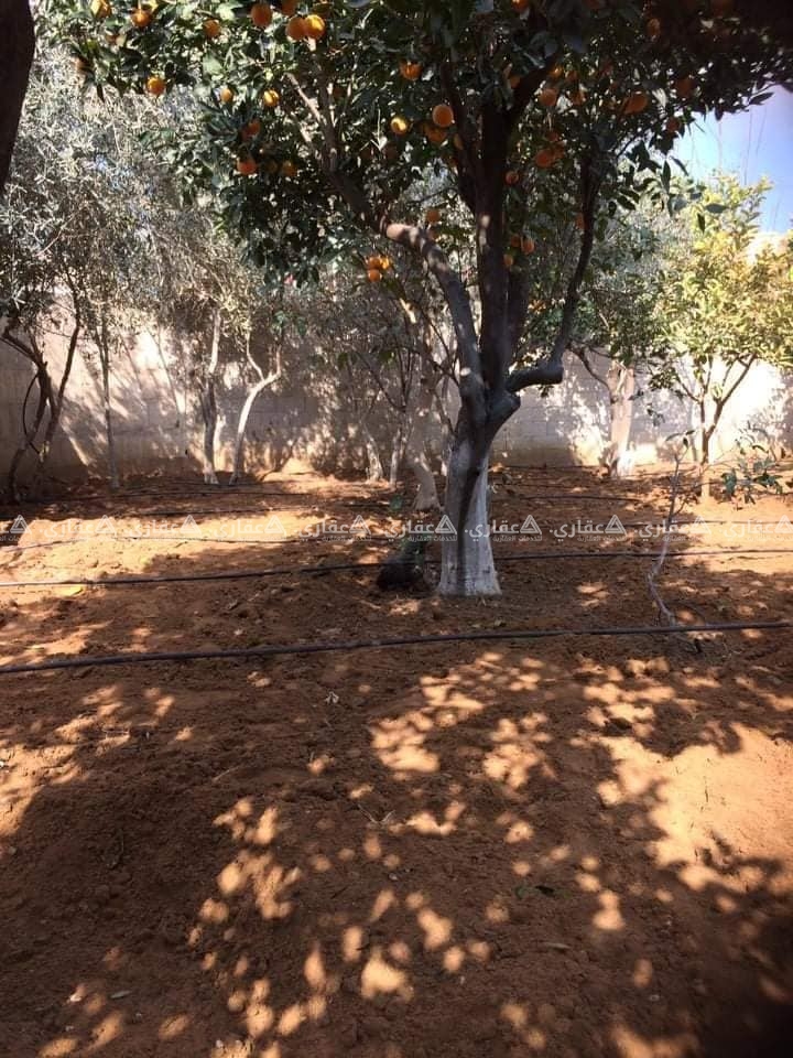 أرض للبيع قرب صالة مونتانا