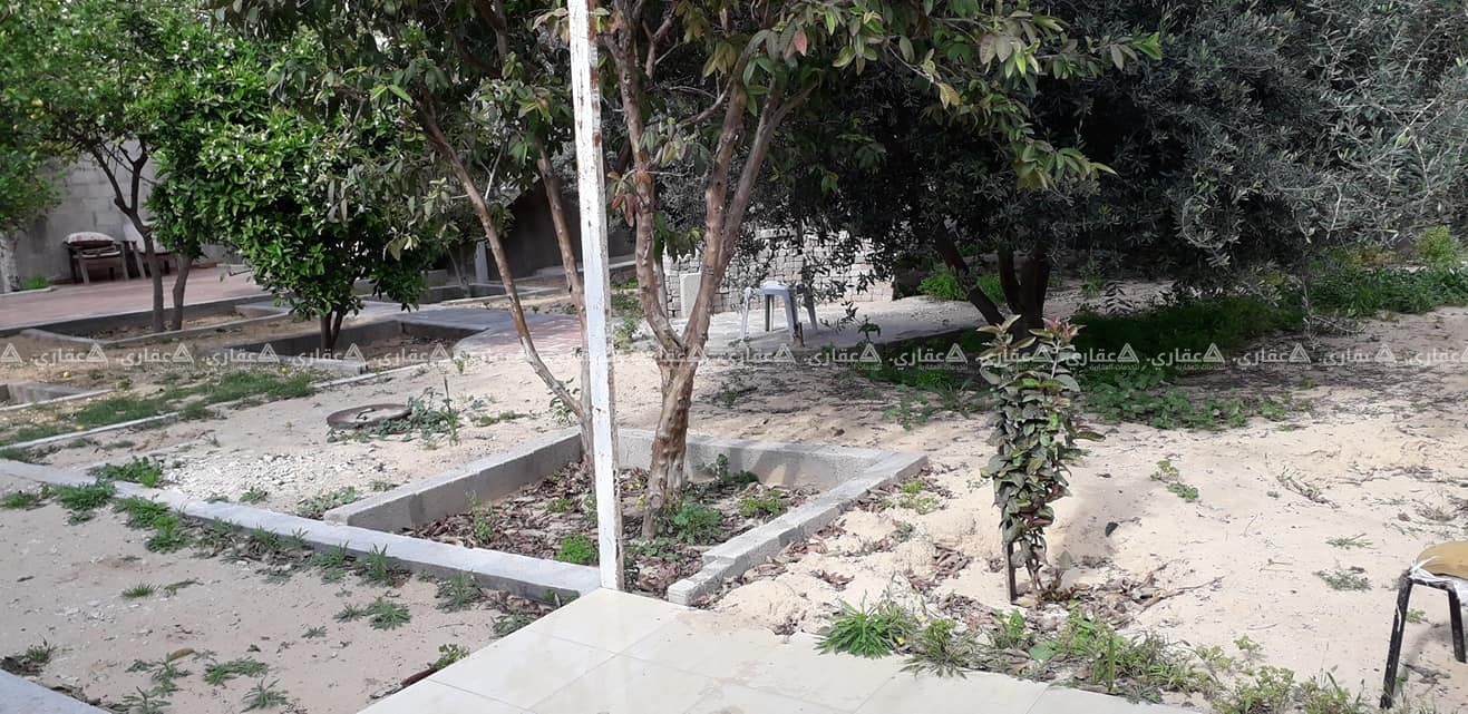 قطعة أرض مزروعة ومسورة
