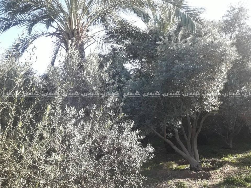 قطعة أرض للبيع 