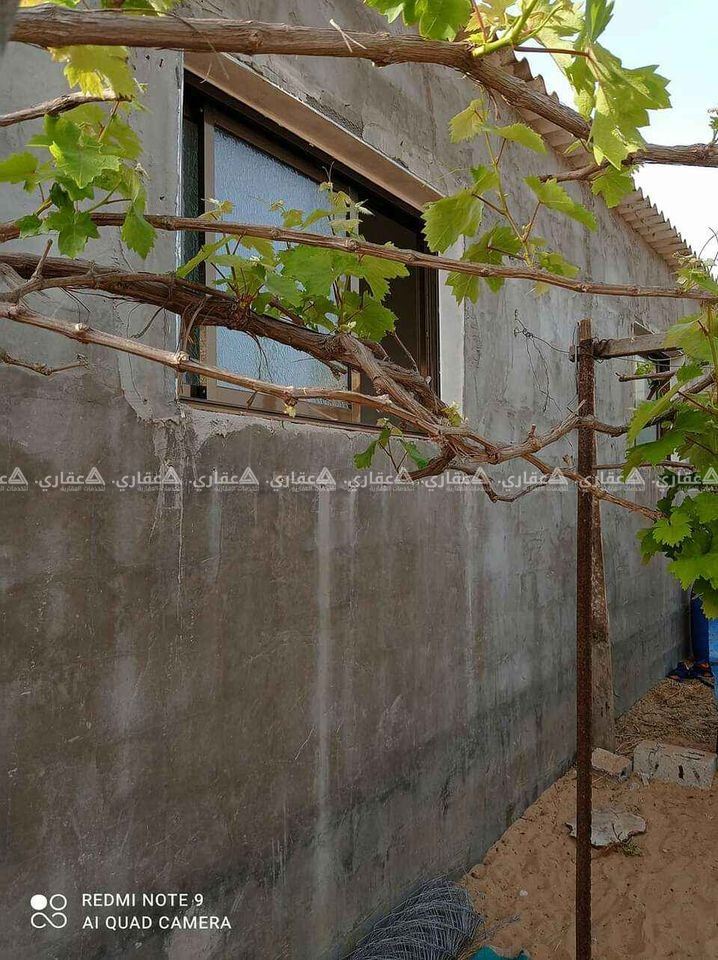 فيلا حجر قدسي مسورة بحديقة خضراء