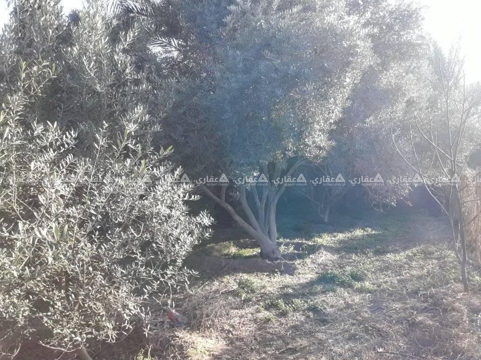 قطعة أرض للبيع 