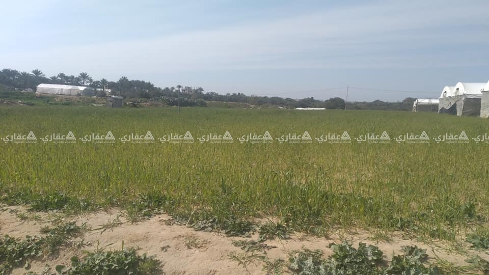 قطعة أرض للبيع 