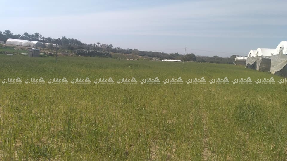 قطعة أرض للبيع 