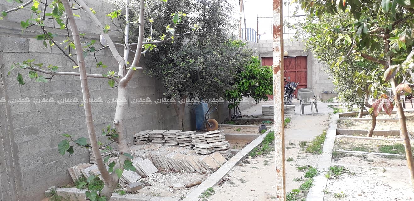 قطعة أرض مزروعة ومسورة
