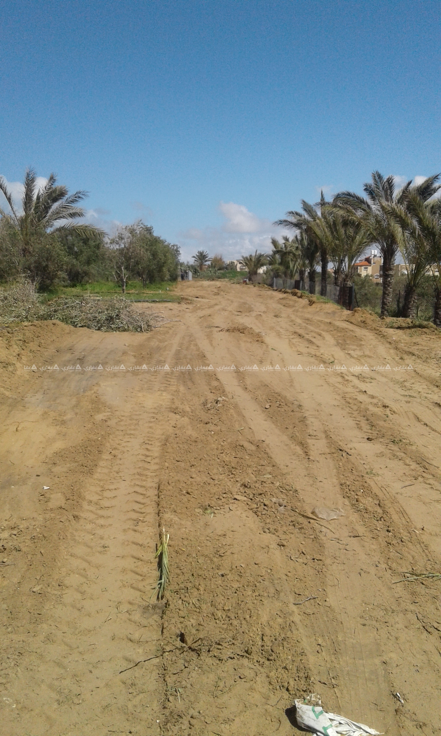 الزوايدة قرب منطقة البحر
