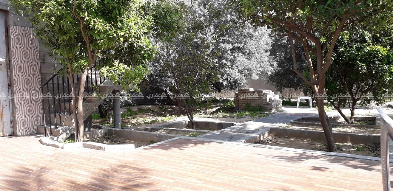 قطعة أرض مزروعة ومسورة
