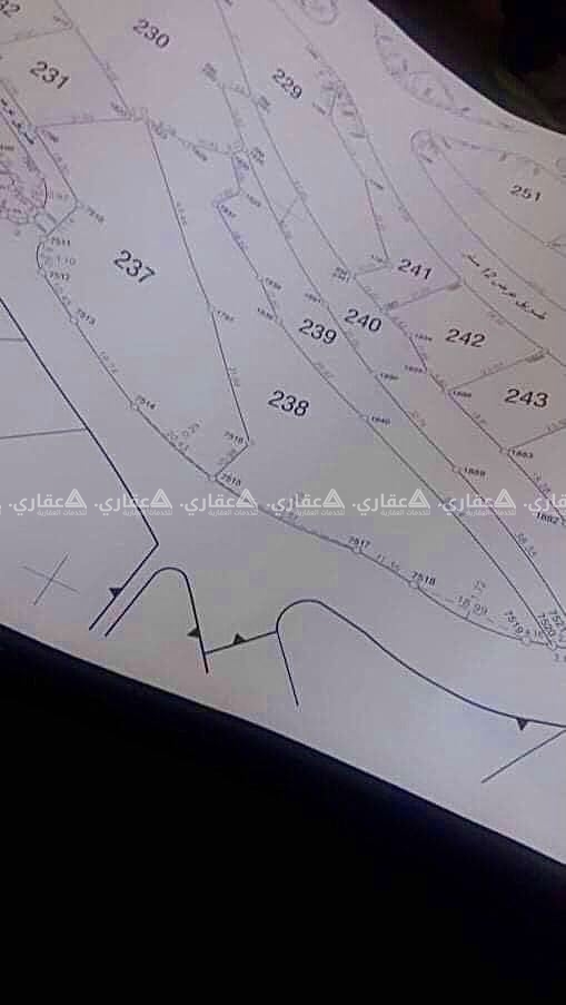 قطعة أرض طابو فلسطيني مفروز تصنيف A 