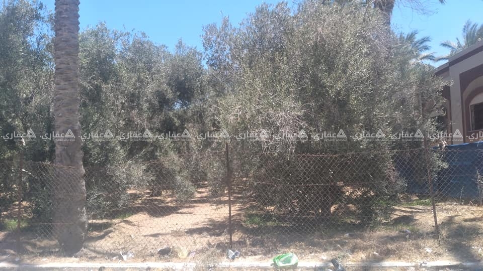 قطعة أرض مميزة جداً