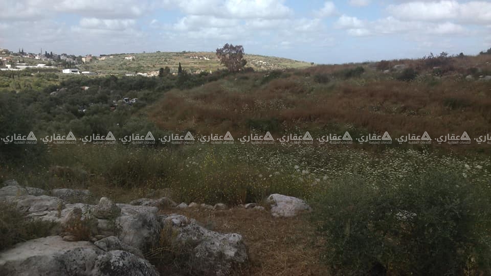 قطعة أرض للبيع