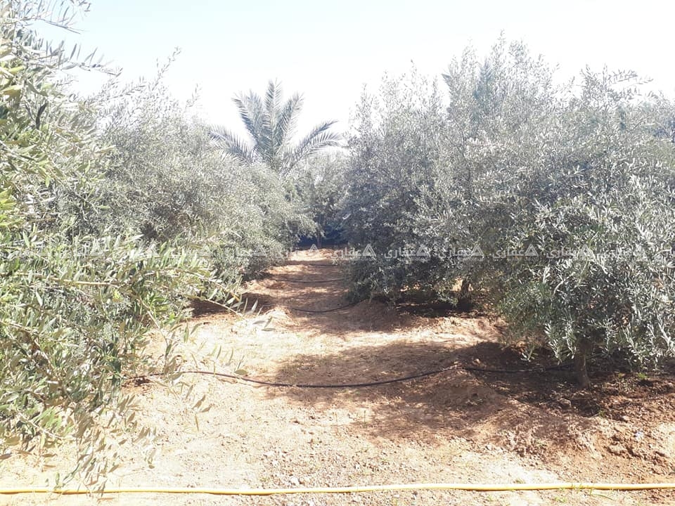 قطعة أرض مع بناء شرق دير البلح