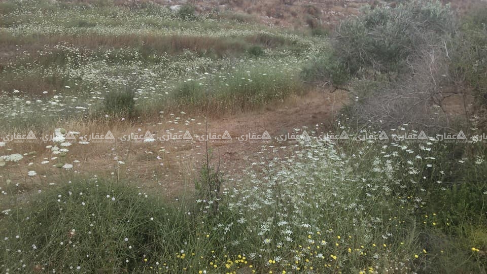 قطعة أرض للبيع