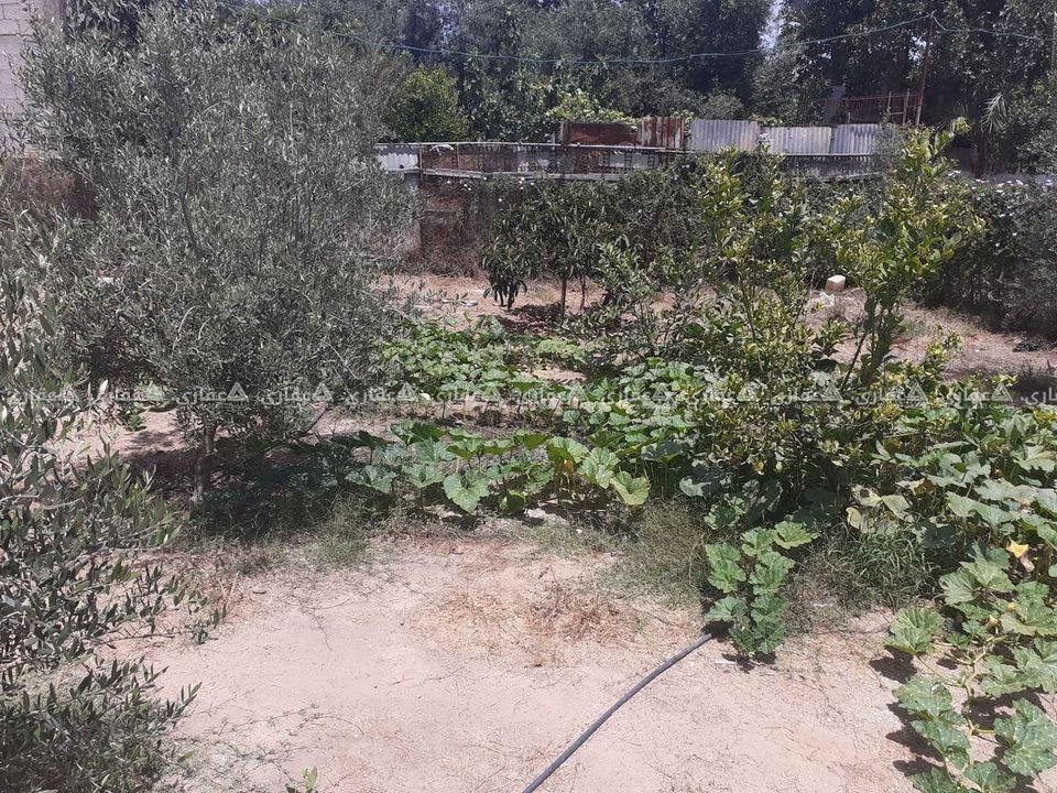 قطعة أرض مقابل تل الذهب 