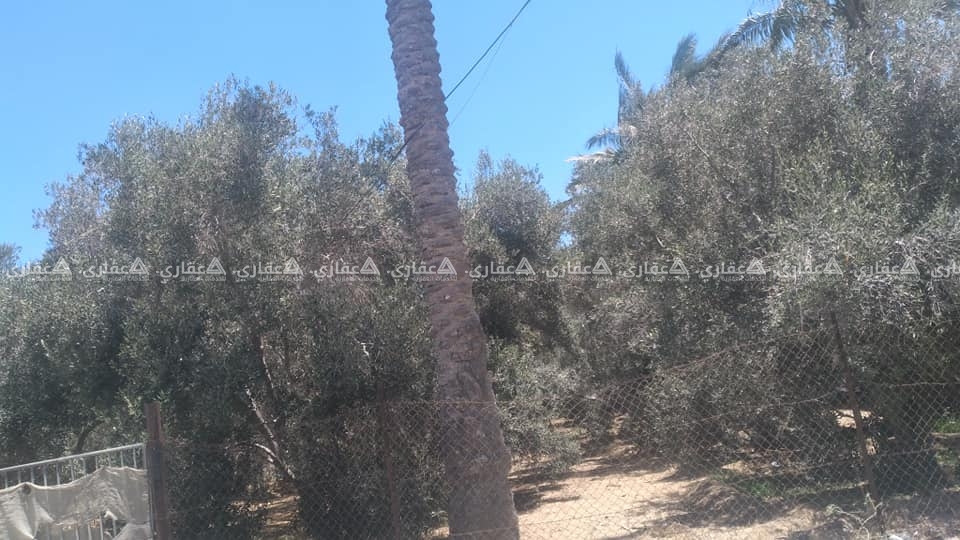 قطعة أرض مميزة جداً
