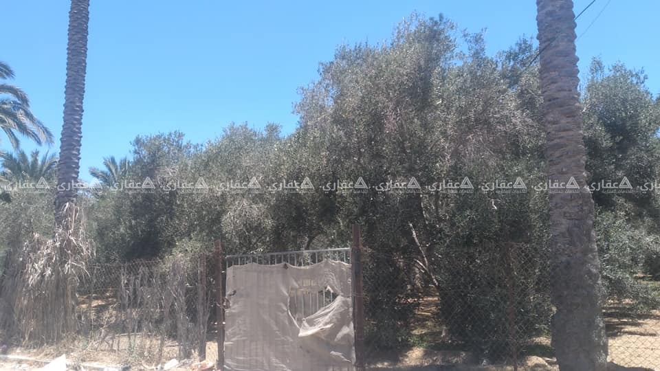 قطعة أرض مميزة جداً