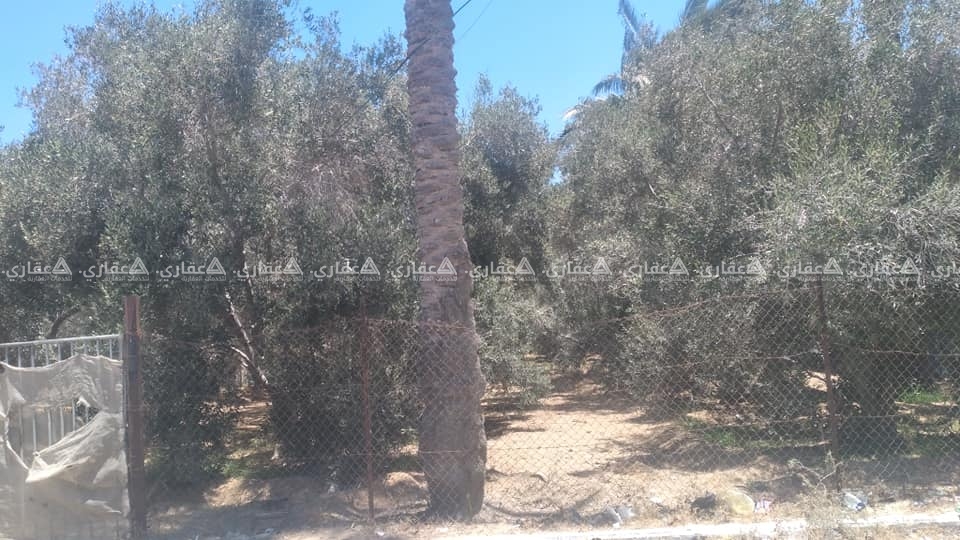 قطعة أرض مميزة جداً