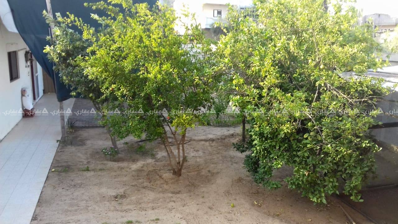 قطعة أرض‏ ‏طابو بها‏ ‏سور‏ ‏مرتفع للبيع‏ ‏نقدي‏ أو‏ ‏تقسيط‏ ‏‏ ‏