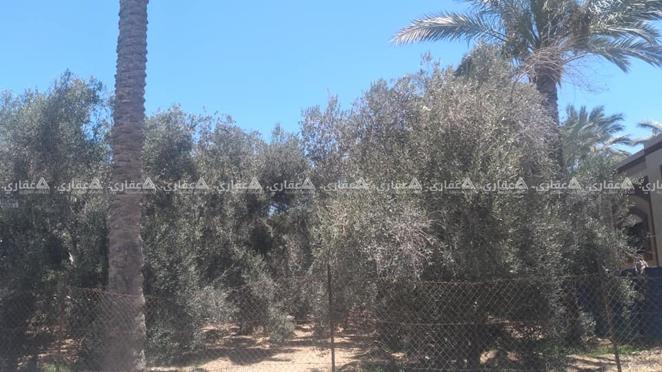 قطعة أرض مميزة جداً