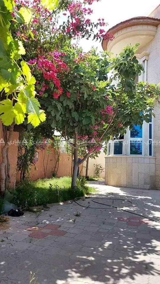 فيلا حجر قدسي، ملفوفة بحديقة خضراء وردية