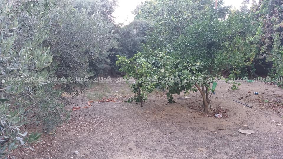 قطعة أرض قرب مسجد معاذ