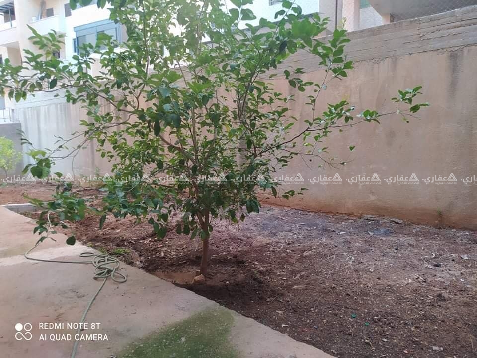 شقة مفروشة للإيجار