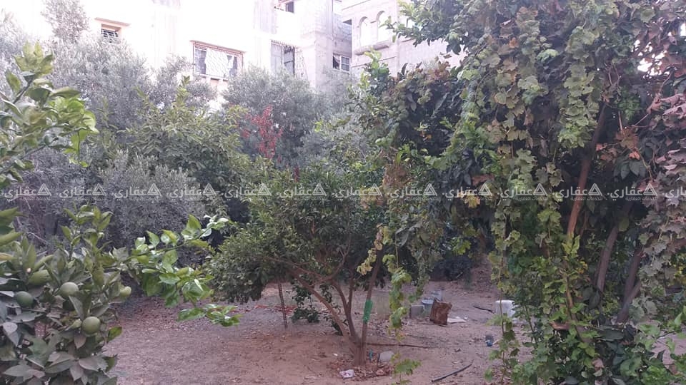 قطعة أرض قرب مسجد معاذ
