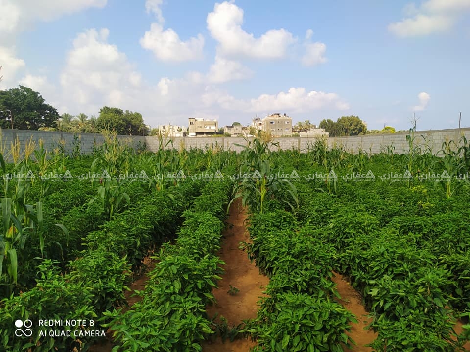 قطعه أرض قرب مسجد أبو عبد الله أبو الحصين
