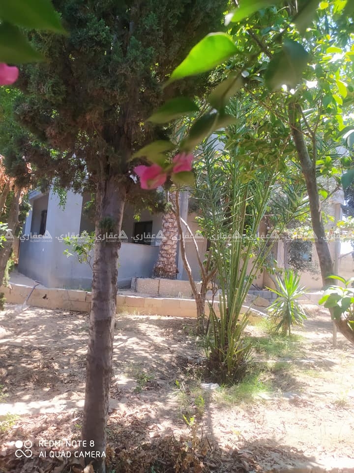 بيت للبيع جنوب محطة تحلية بلدية البريج 