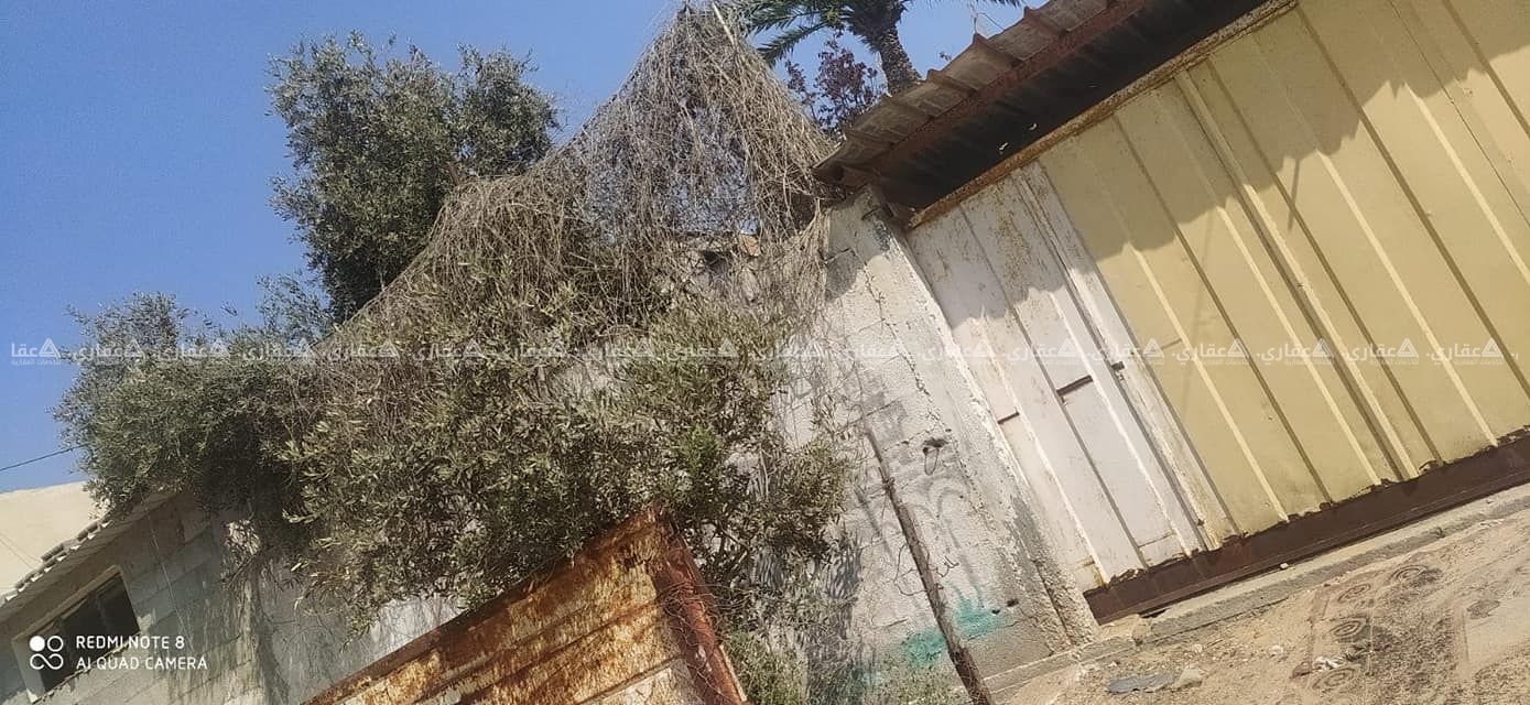 دار للبيع خلف مدرسه عدنان العلمي