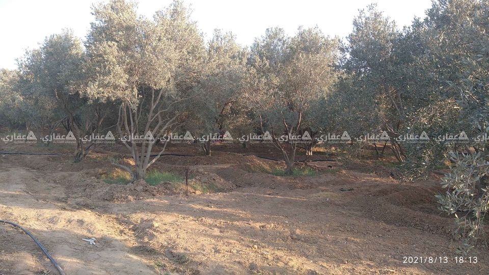 قطعة أرض منطقة فتوح