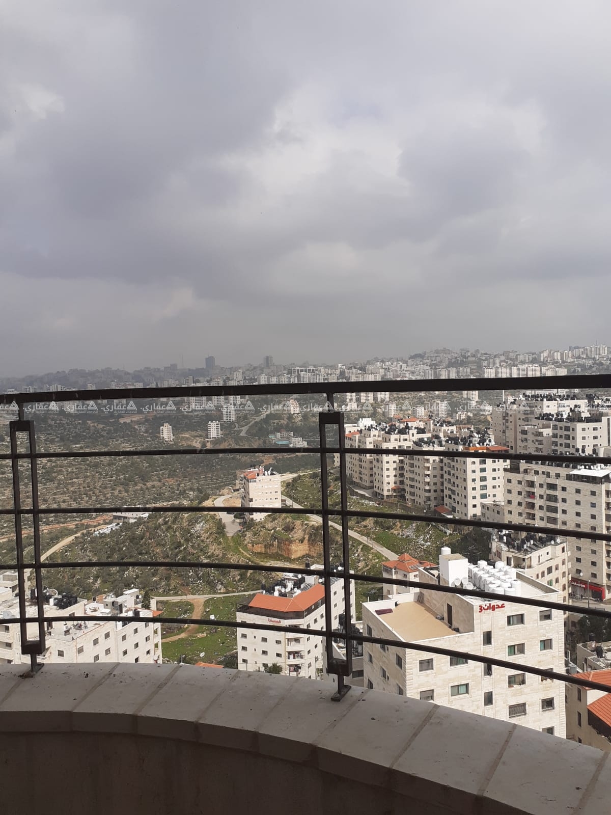 بيتونيا بالقرب من دوار الفواكه شارع عين عريك 
