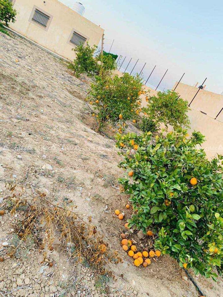 قطعة أرض مع بناء للبيع في العوجا